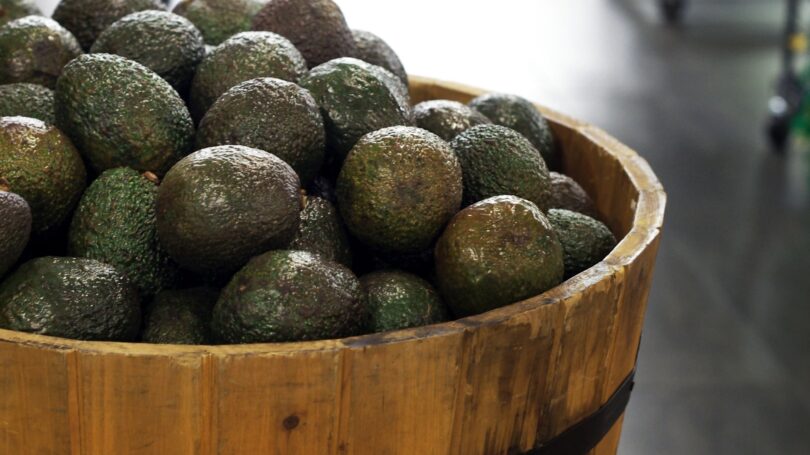 Wooden Bucket Of Avocado